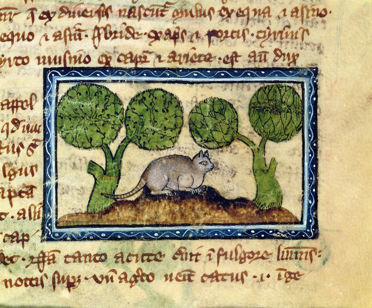 A cat crouching on a mound of earth (detail) by English School