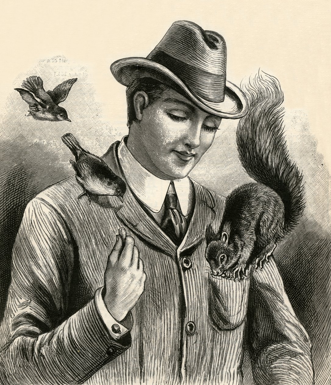 Man Feeding a Squirrel and Birds by English School