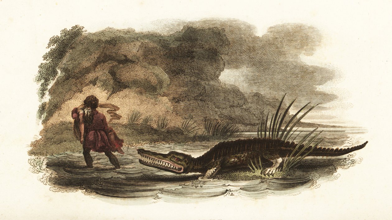 Man saving his wife from the jaws of a crocodile in a river, Philippines by English School