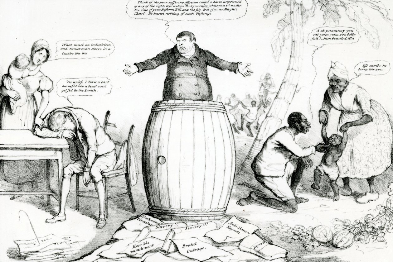 McLeans Monthly Sheet of Caricatures, or the Looking Glass by English School