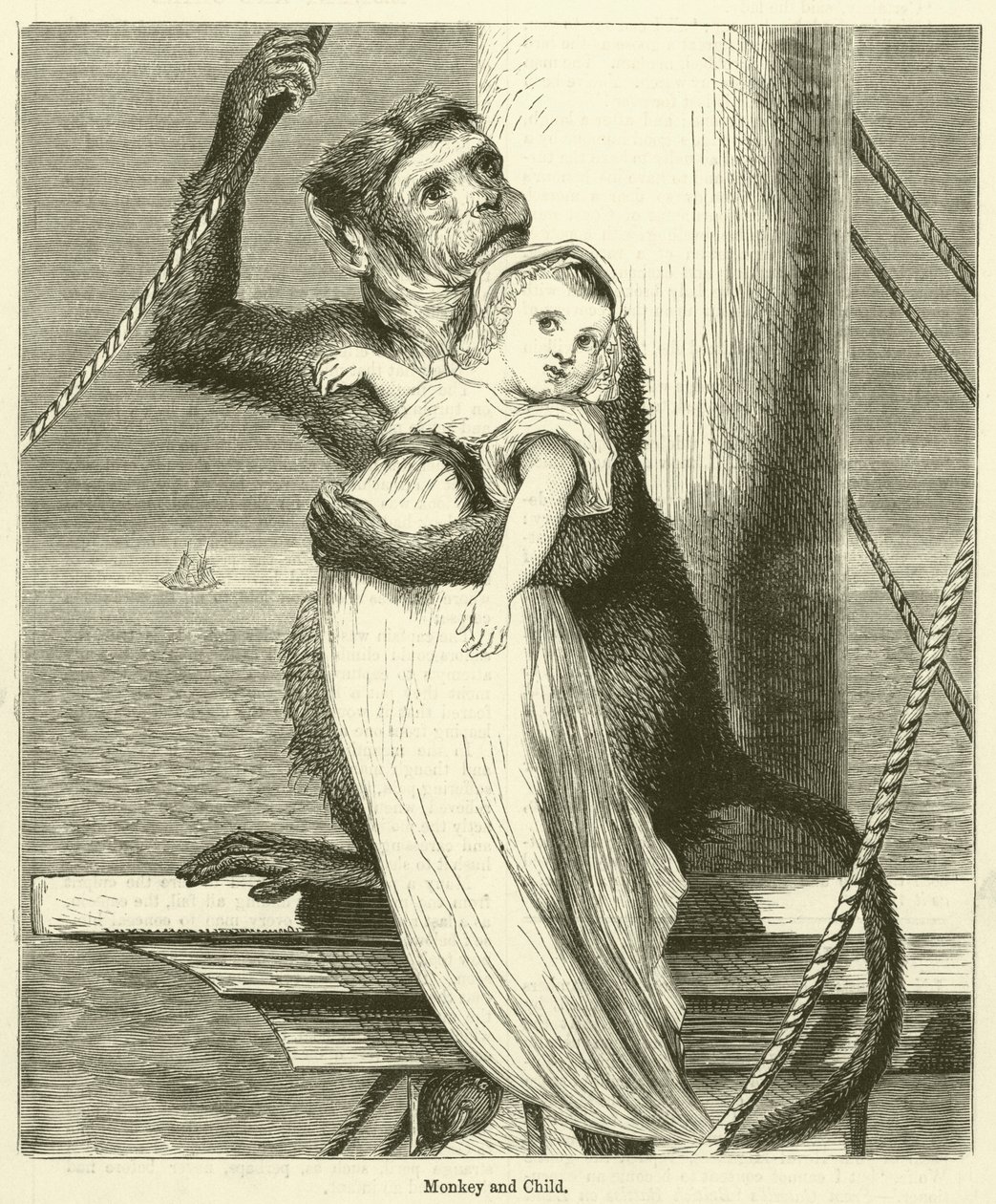 Monkey and Child by English School