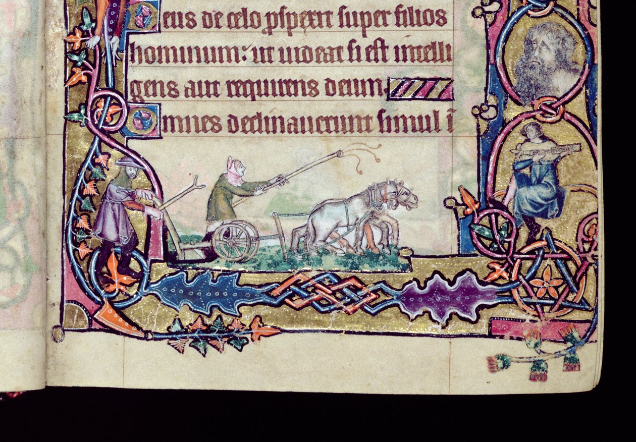 Ms 1-2005, ff.76v-77r: David and the fool, historiated initial from the Macclesfield Psalter, Use of Sarum, East Anglia, c.1330 (detail) by English School