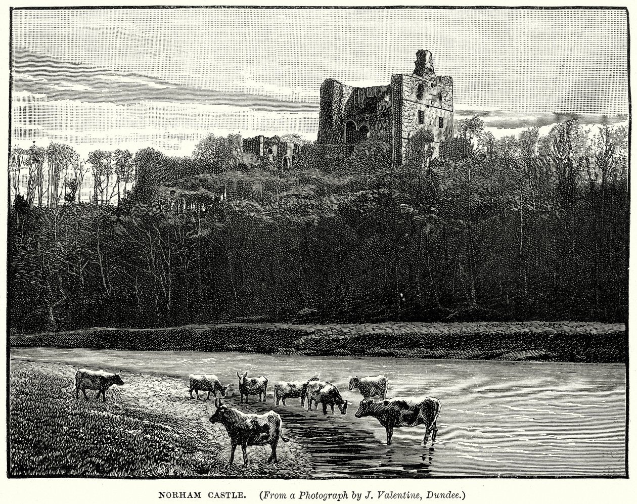 Norham Castle by English School