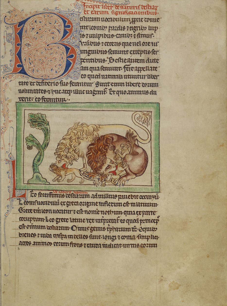 Northumberland Bestiary, c.1250-60 by English School