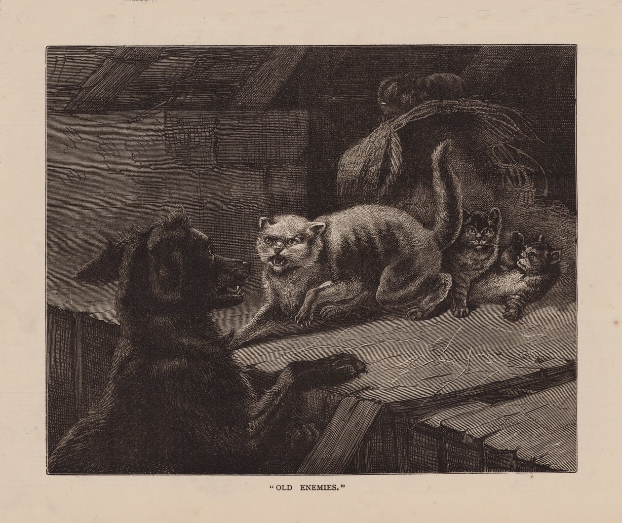 Old Enemies by English School