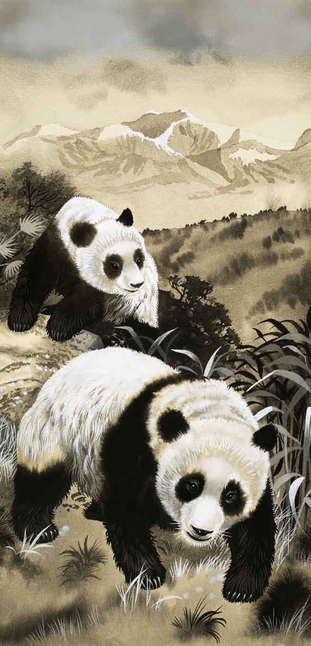 Pandas by English School