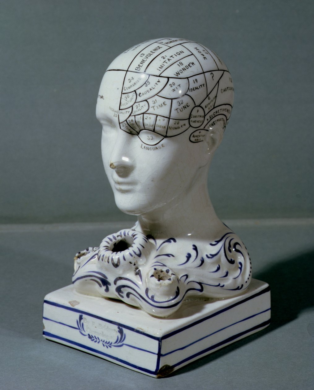 Phrenological Head by Dr. Frederick Bridges by English School