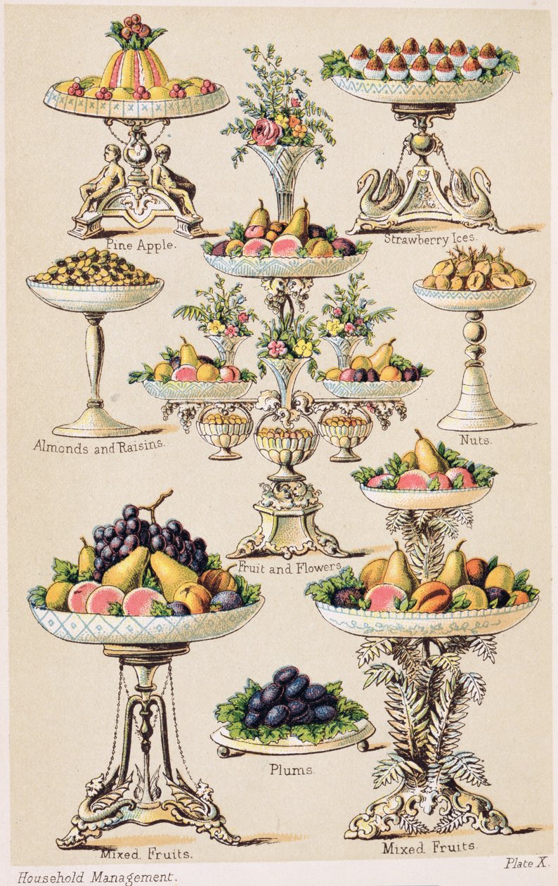 Plate X from 