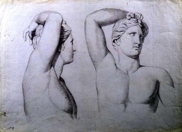 Portrait Busts of Nudes by English School