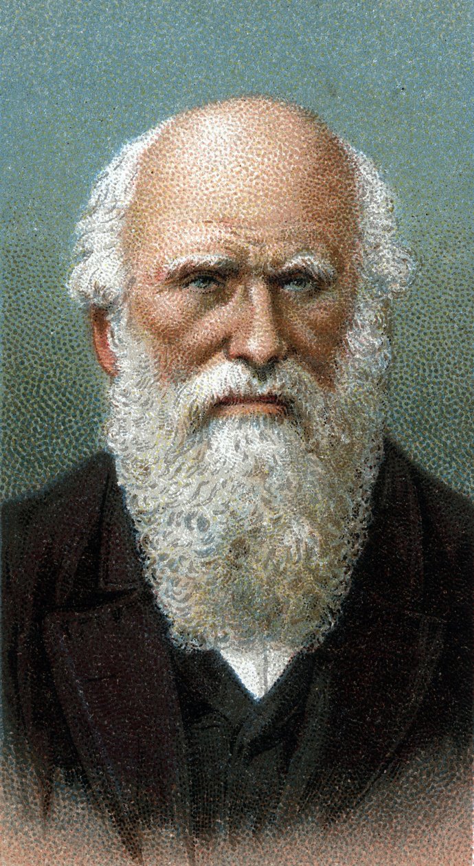 Portrait of Charles Robert Darwin (1809-1882) (from series 
