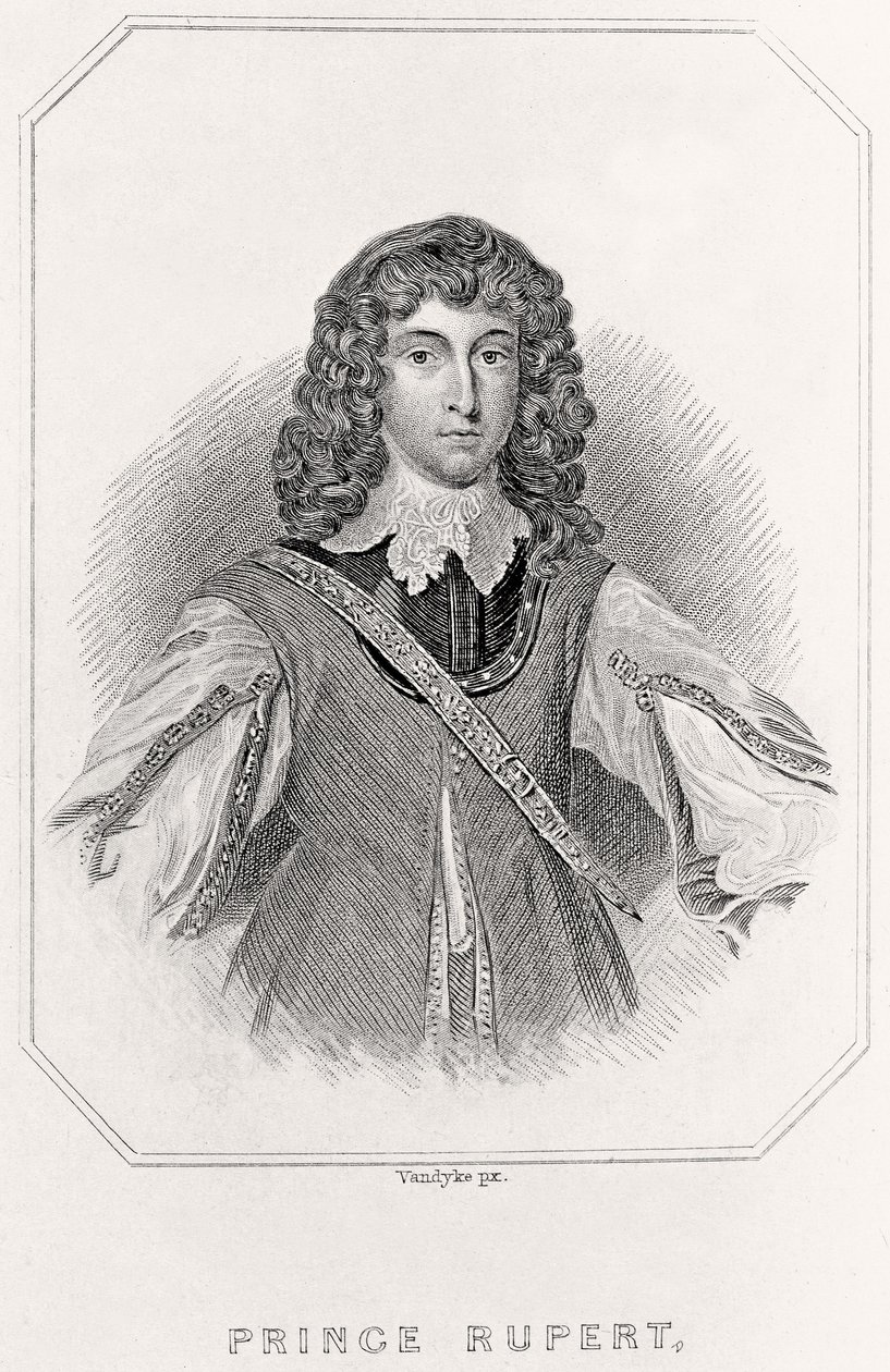Portrait of Prince Rupert by English School