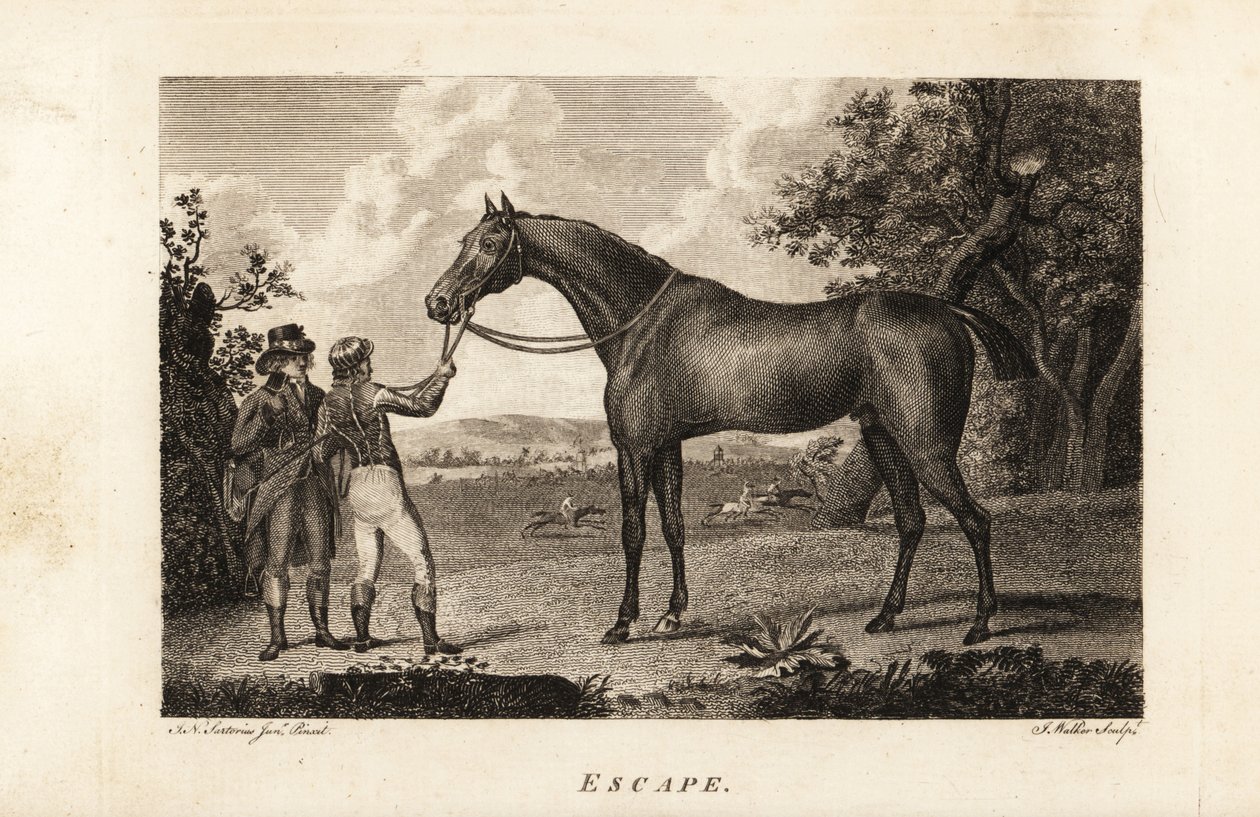 Portrait of the celebrated thoroughbred racer Escape with jockey and trainer by English School