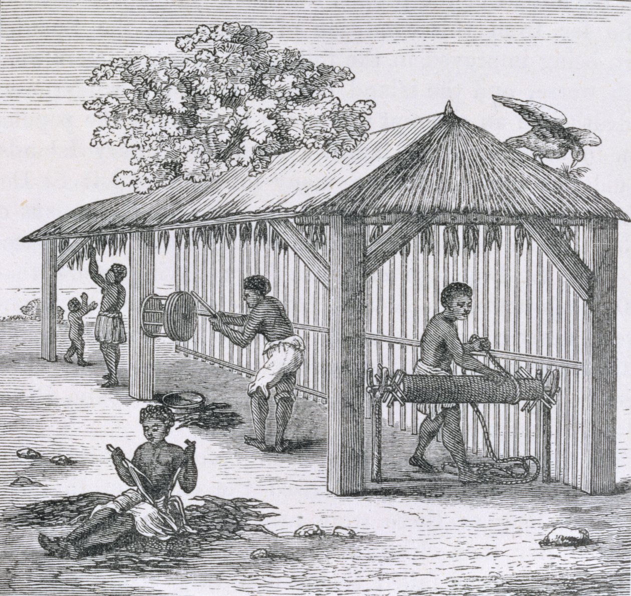 Preparing Tobacco, from 