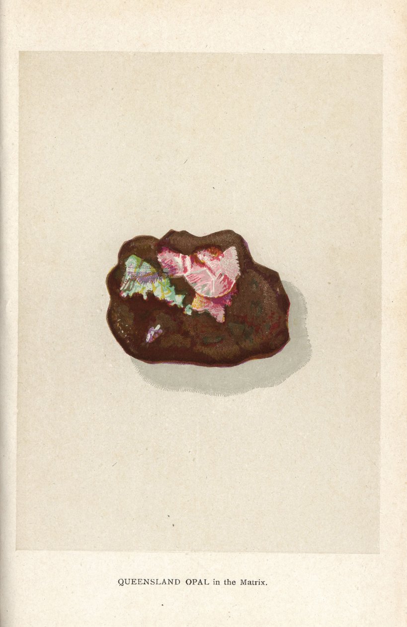 Queensland Opal in the Matrix, from Edwin Streeter