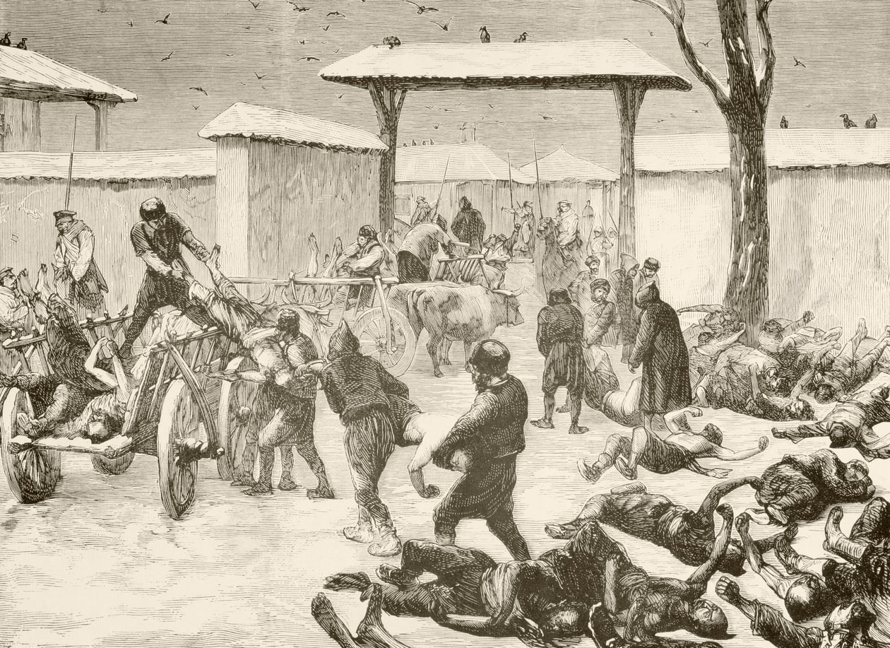 Recovering the Dead After the Siege of Plevna, Bulgaria in 1877 by English School