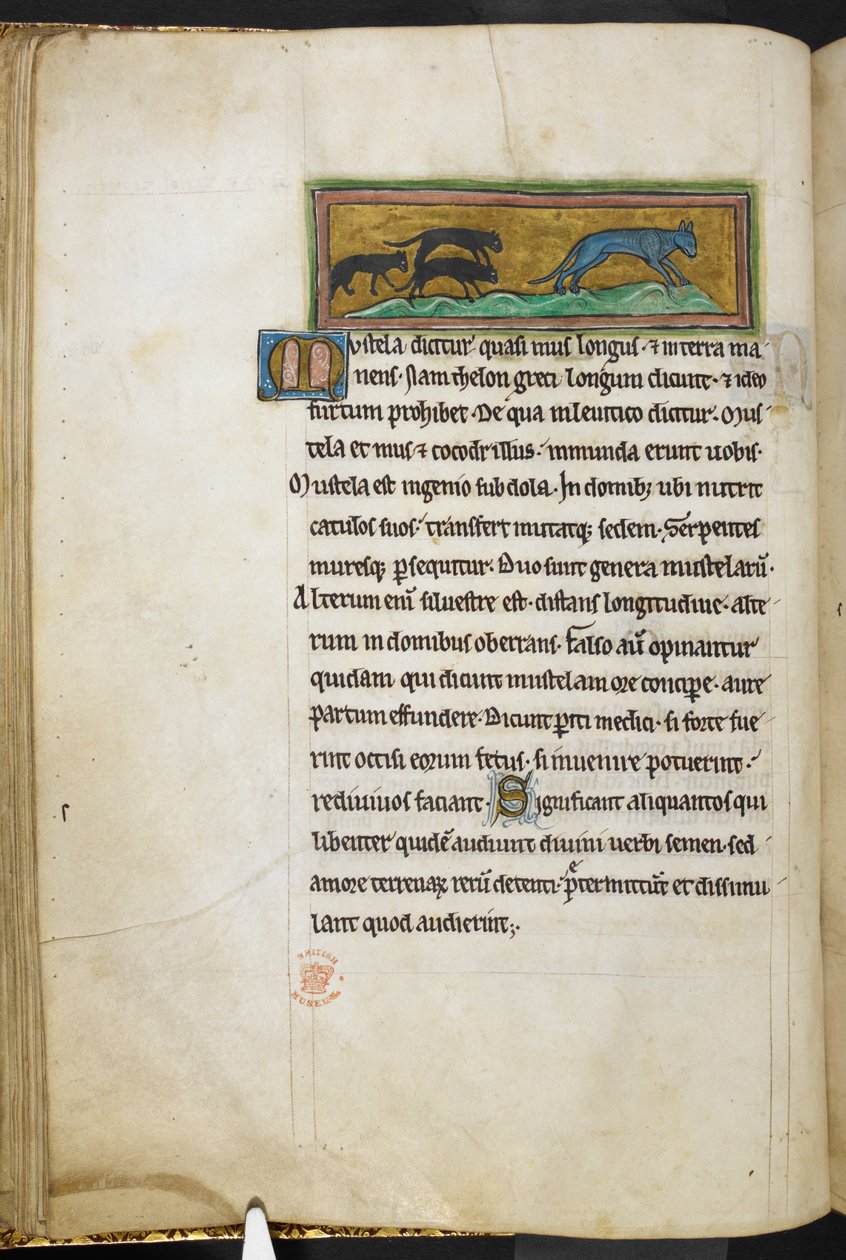 Mice chasing a cat, from Bestiary, Lapidary by English School