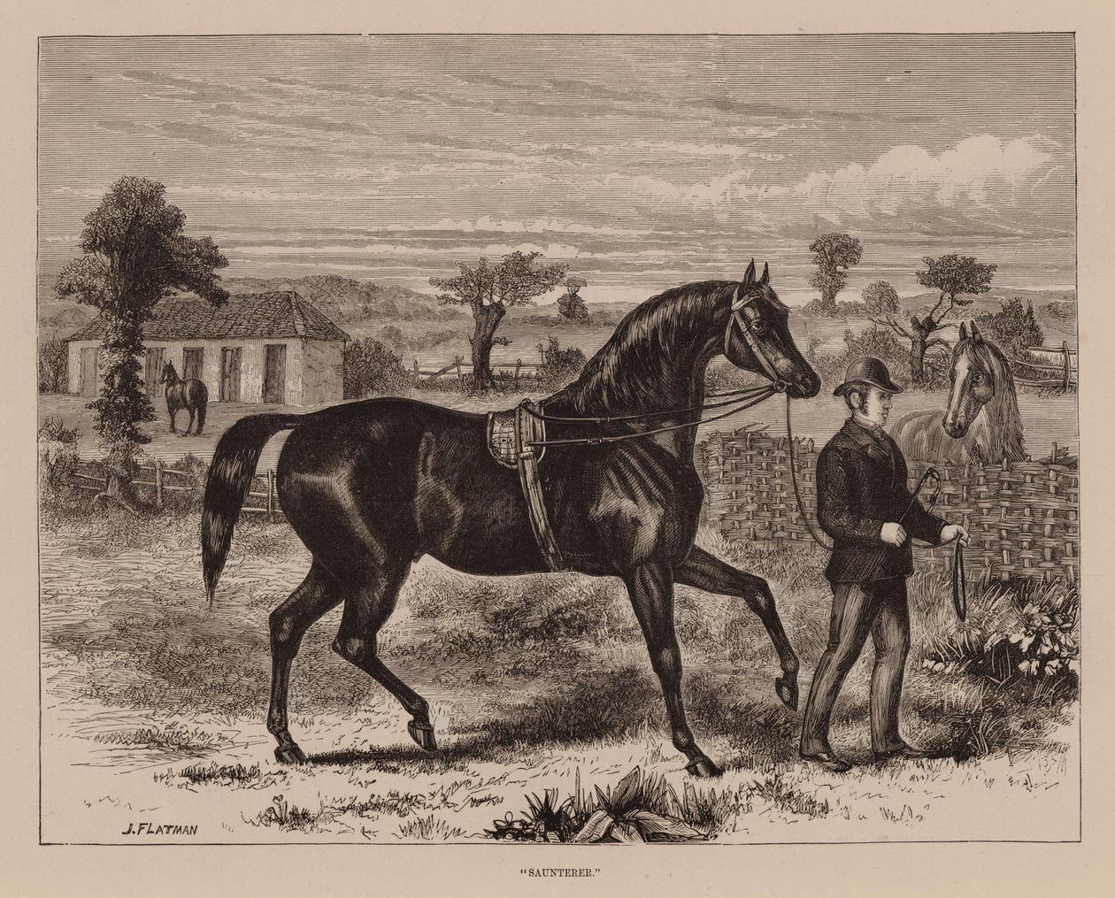 Saunterer by English School
