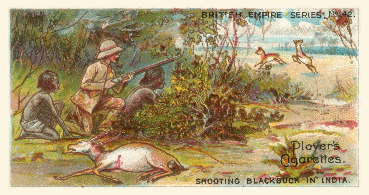 Shooting Blackbuck in India by English School