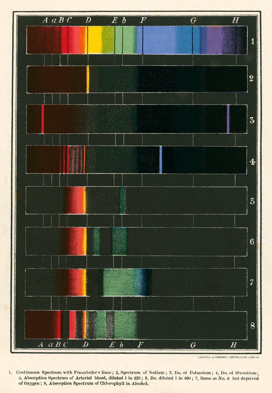 Spectrum by English School