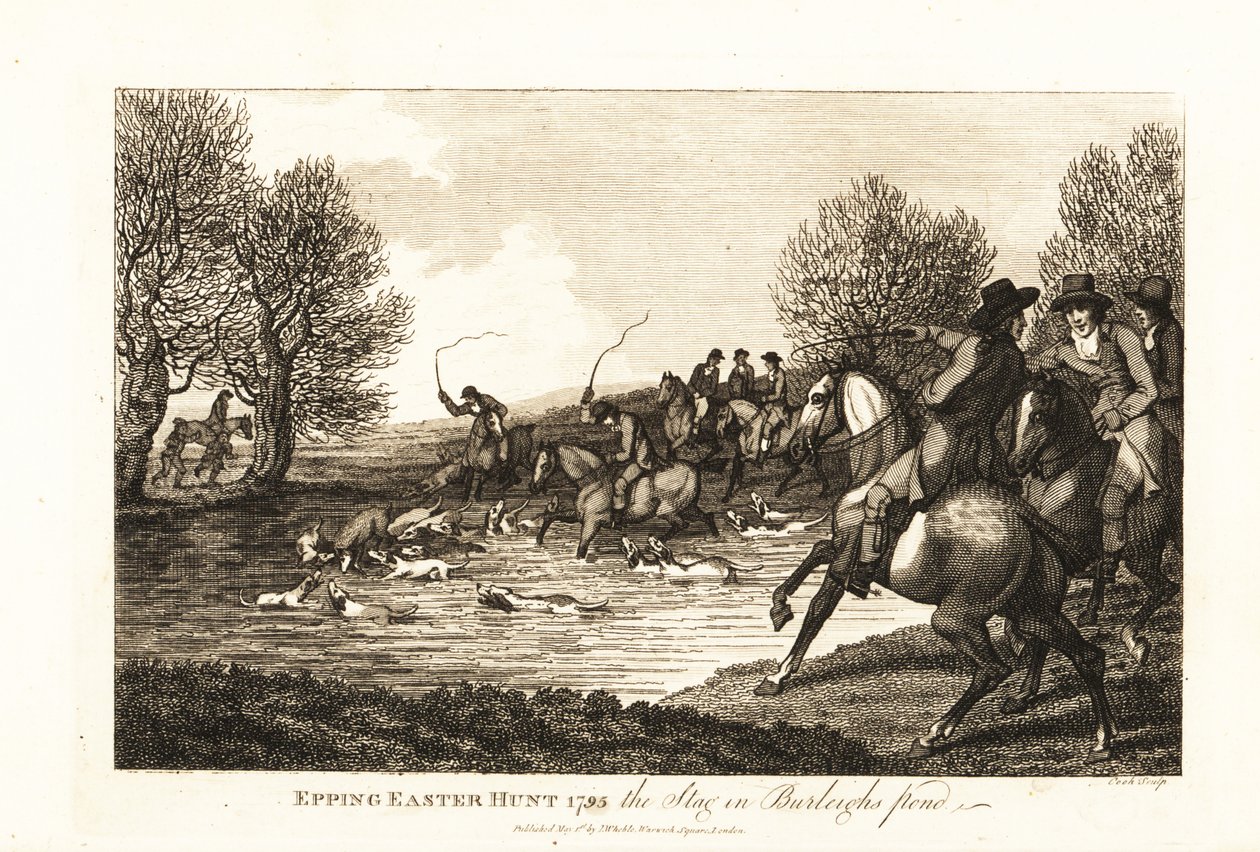 Stag hunters and hounds hunting a calf deer in the Epping Easter Hunt by English School