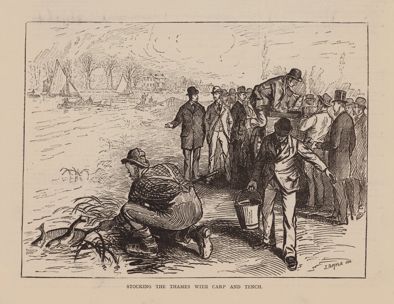 Stocking the Thames with Carp and Tench by English School