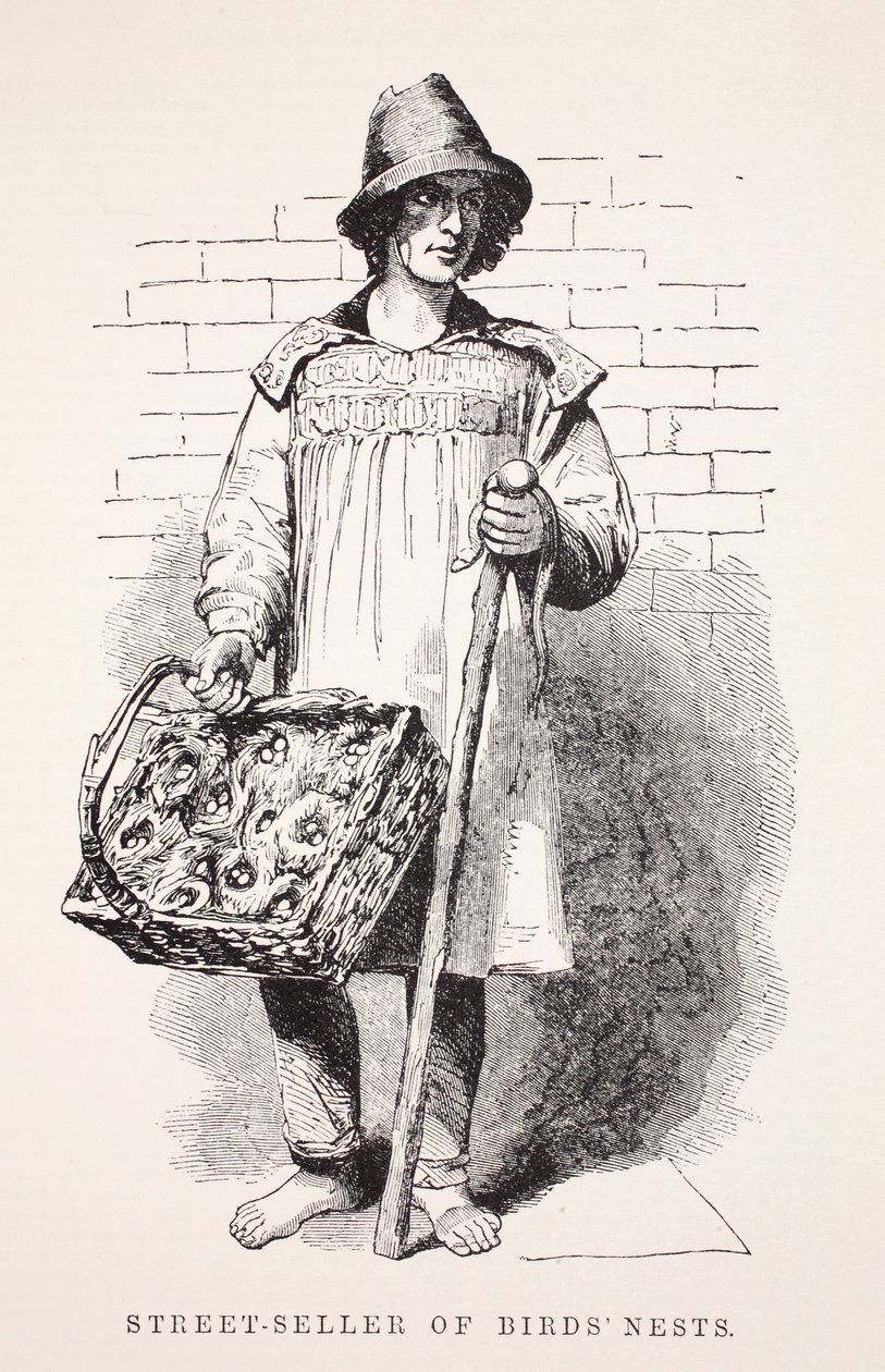 Street-seller of birds nests, illustration from London Labour and London Poor by Henry Mayhew, pub. 1862 by English School