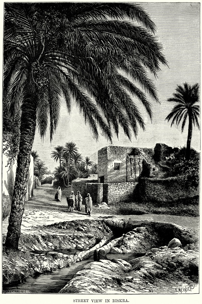 Street View in Biskra by English School