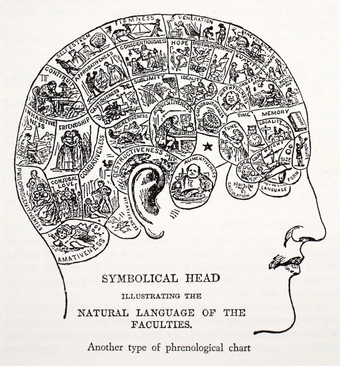 Symbolical Head by English School