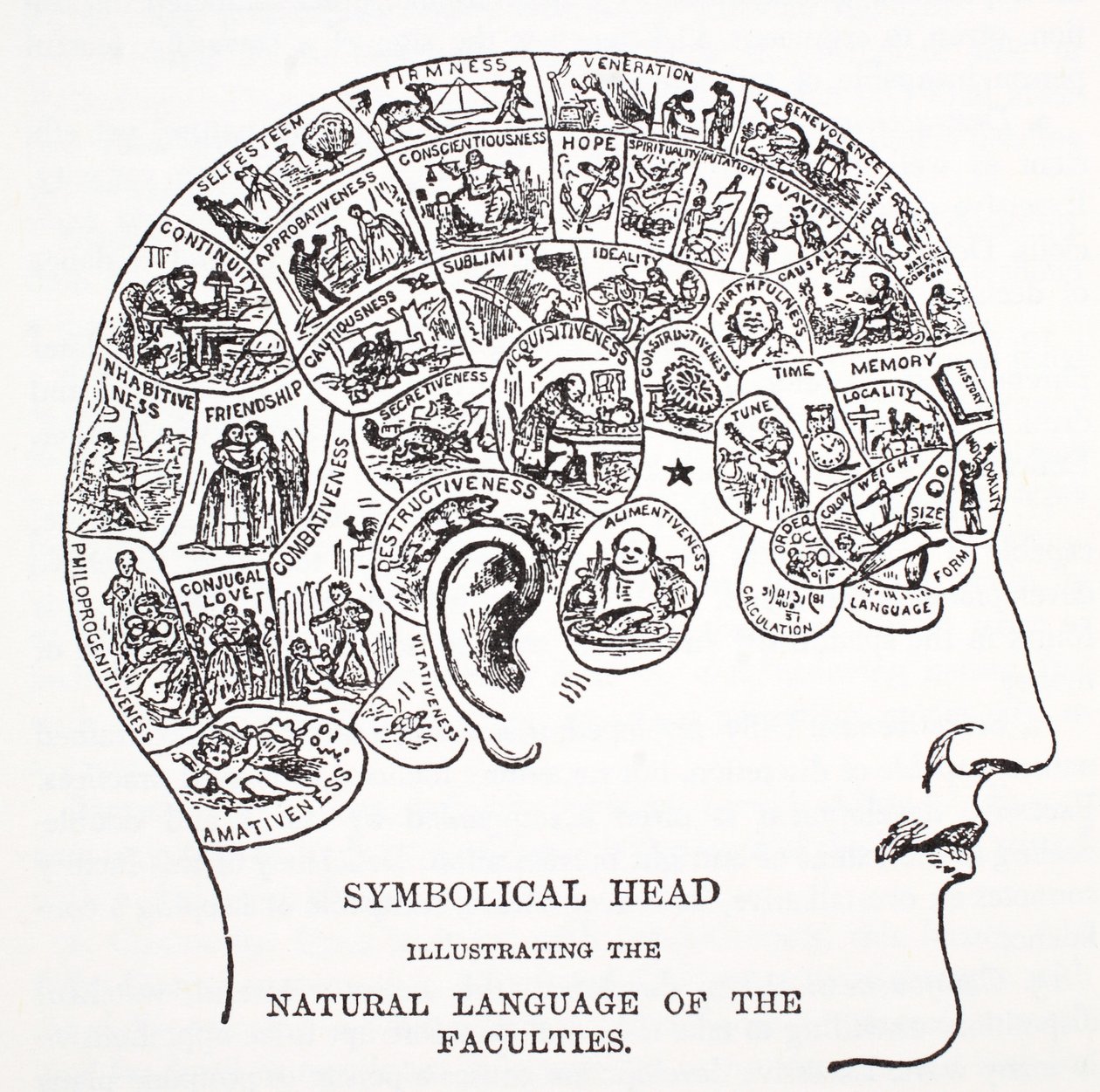 Symbolical Head Showing the Natural Language of the Faculties by English School