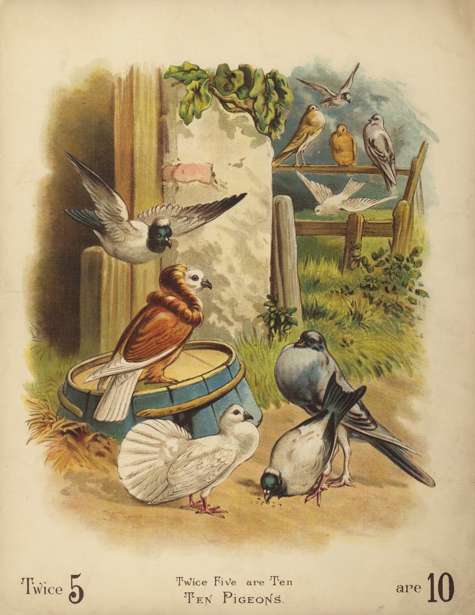 Ten Pigeons by English School