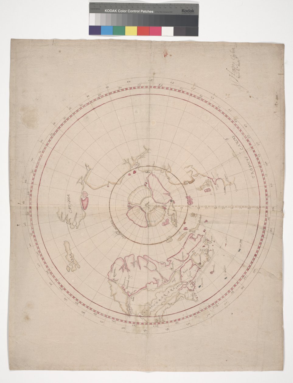 The Charter of Sir Humphrey Gilbert by English School