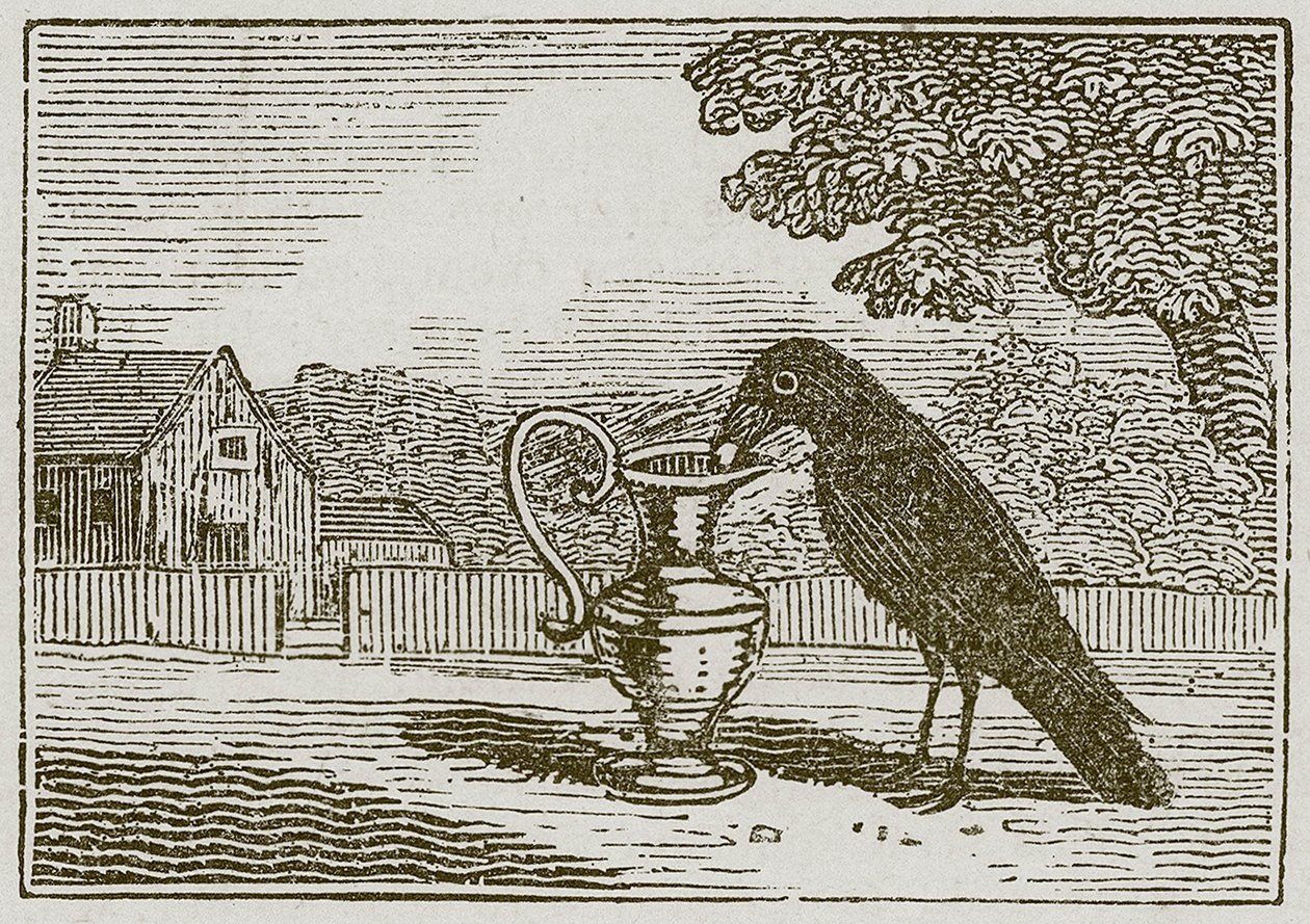 The Crow and the Pitcher by English School