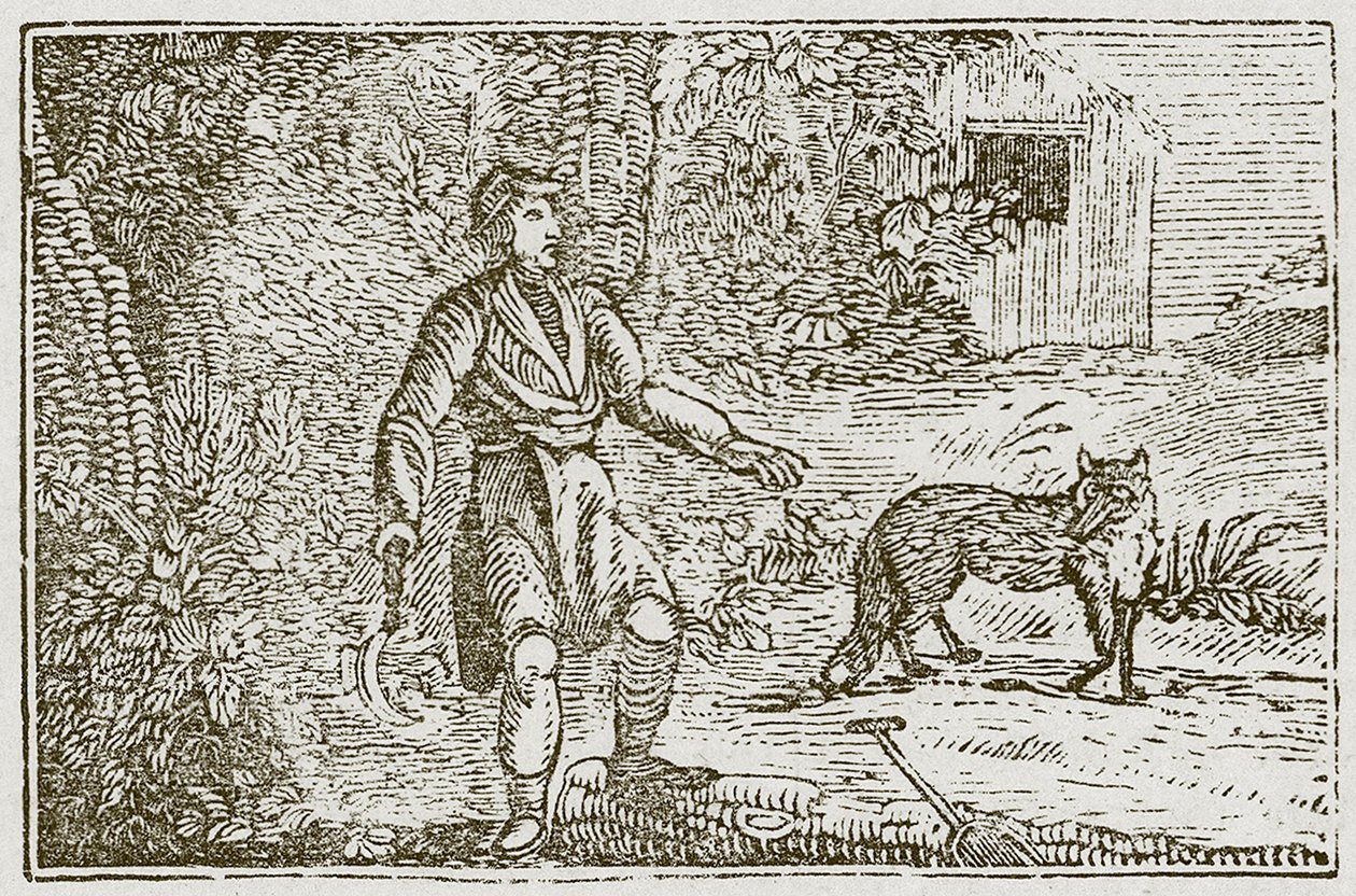 The Fox and the Countryman by English School