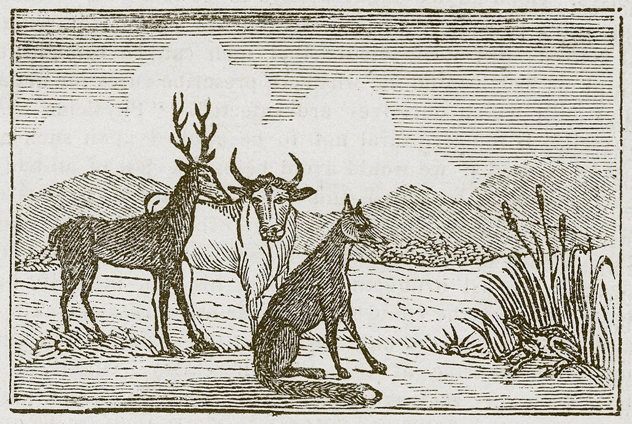 The Frog and the Fox by English School