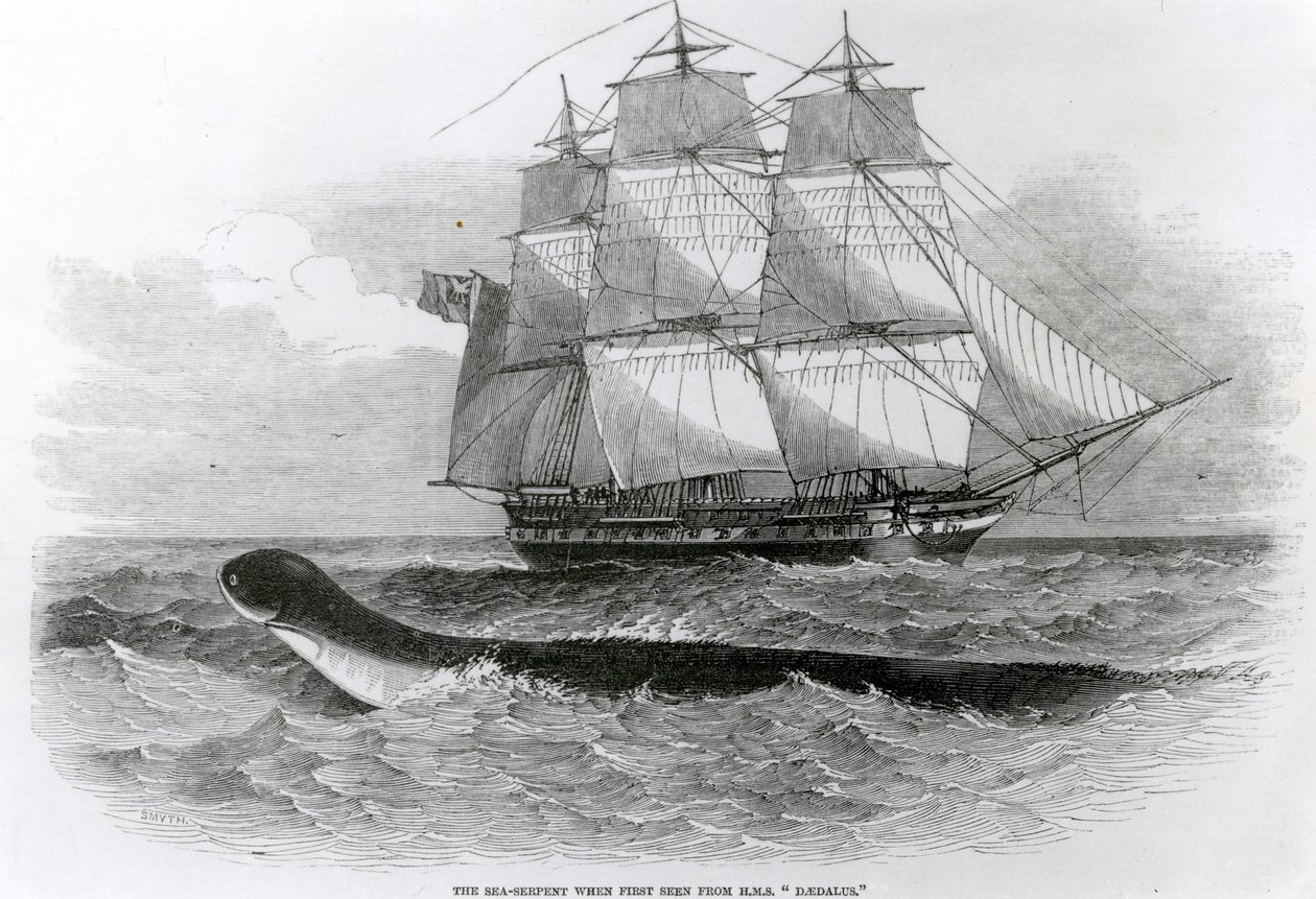 The Great Sea-Serpent when First Seen from HMS Daedalus by English School