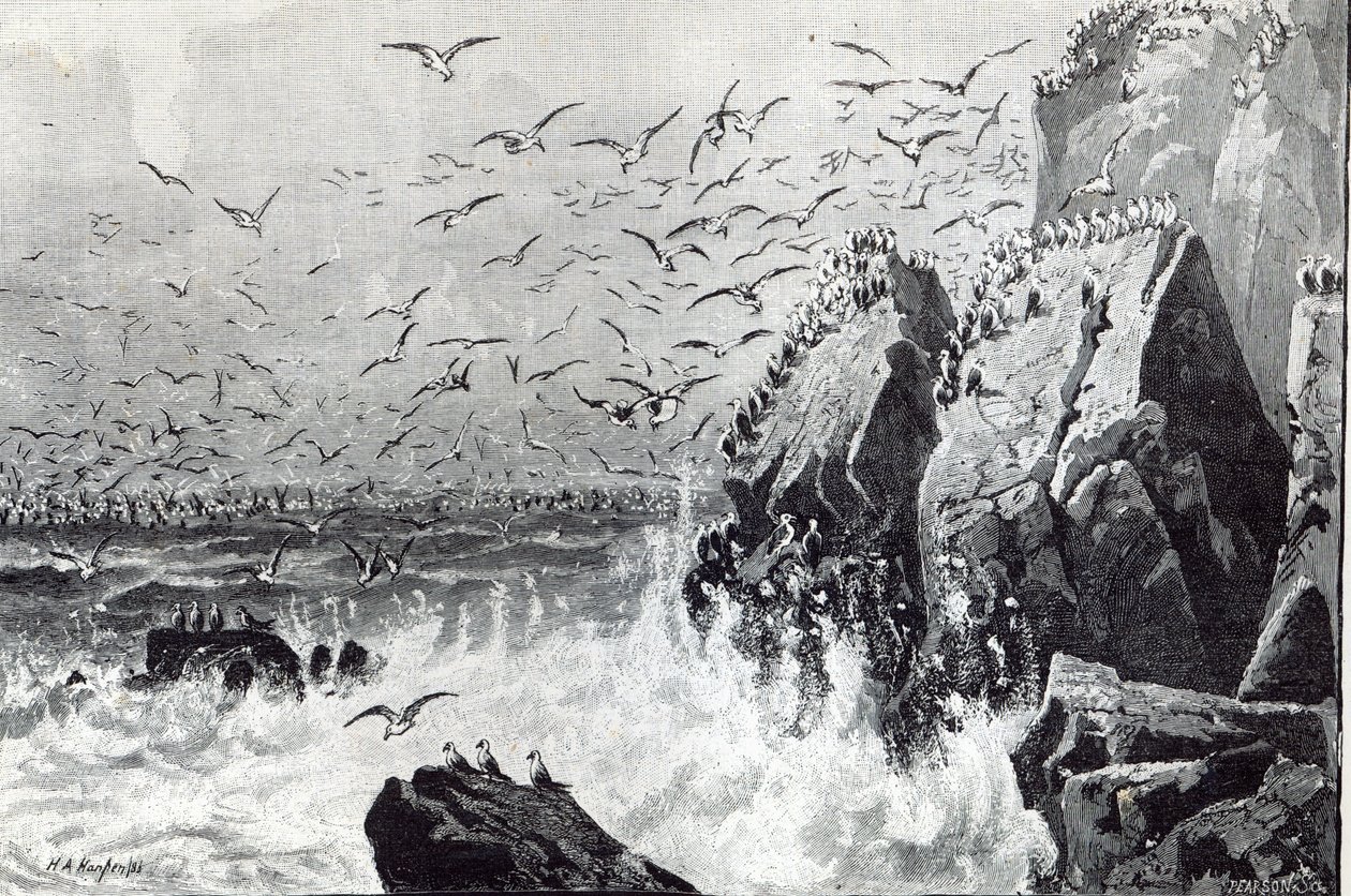 The Haunt of the Gulls, from 