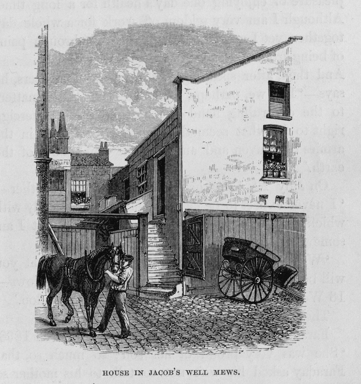 The House in Jacob