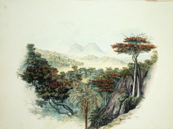 The Mountains, Ceylon by English School
