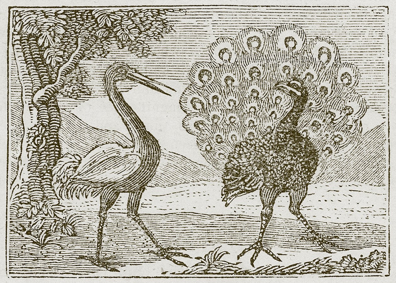 The Peacock and the Crane by English School