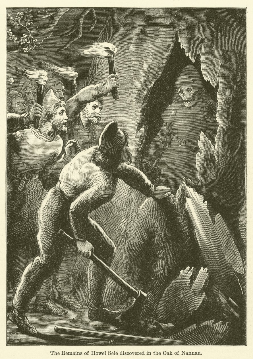 The Remains of Howel Sele Discovered in the Oak of Nannau by English School