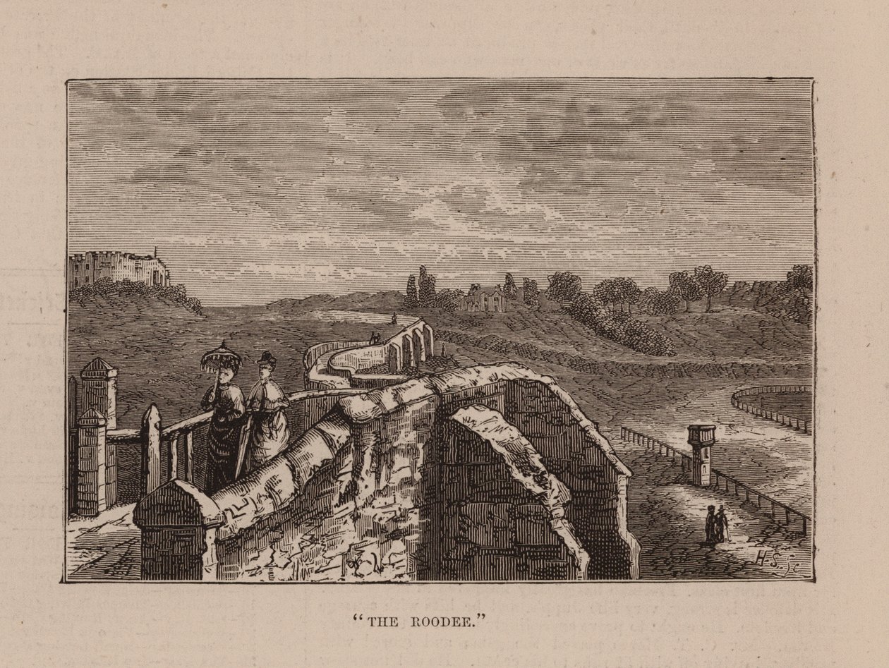 The Roodee by English School