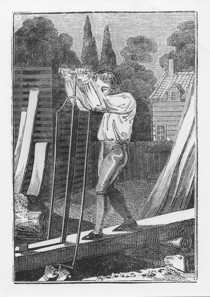 The Sawyer, from The Young Tradesman or Book of English Trades, 1839 by English School