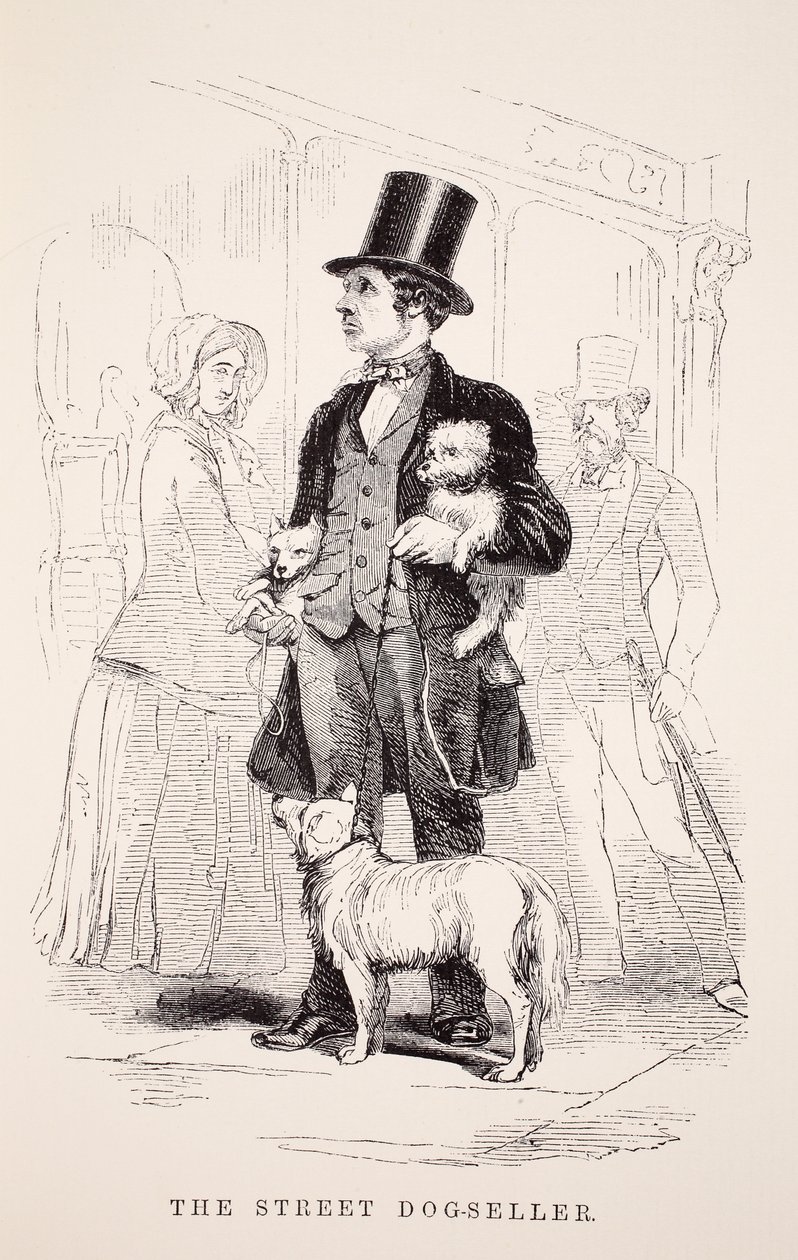 The Street Dog-Seller, illustration from London Labour and London Poor by Henry Mayhew, pub. 1862 by English School