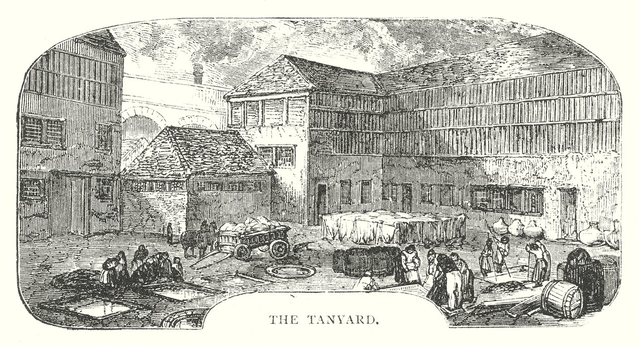 The Tanyard by English School