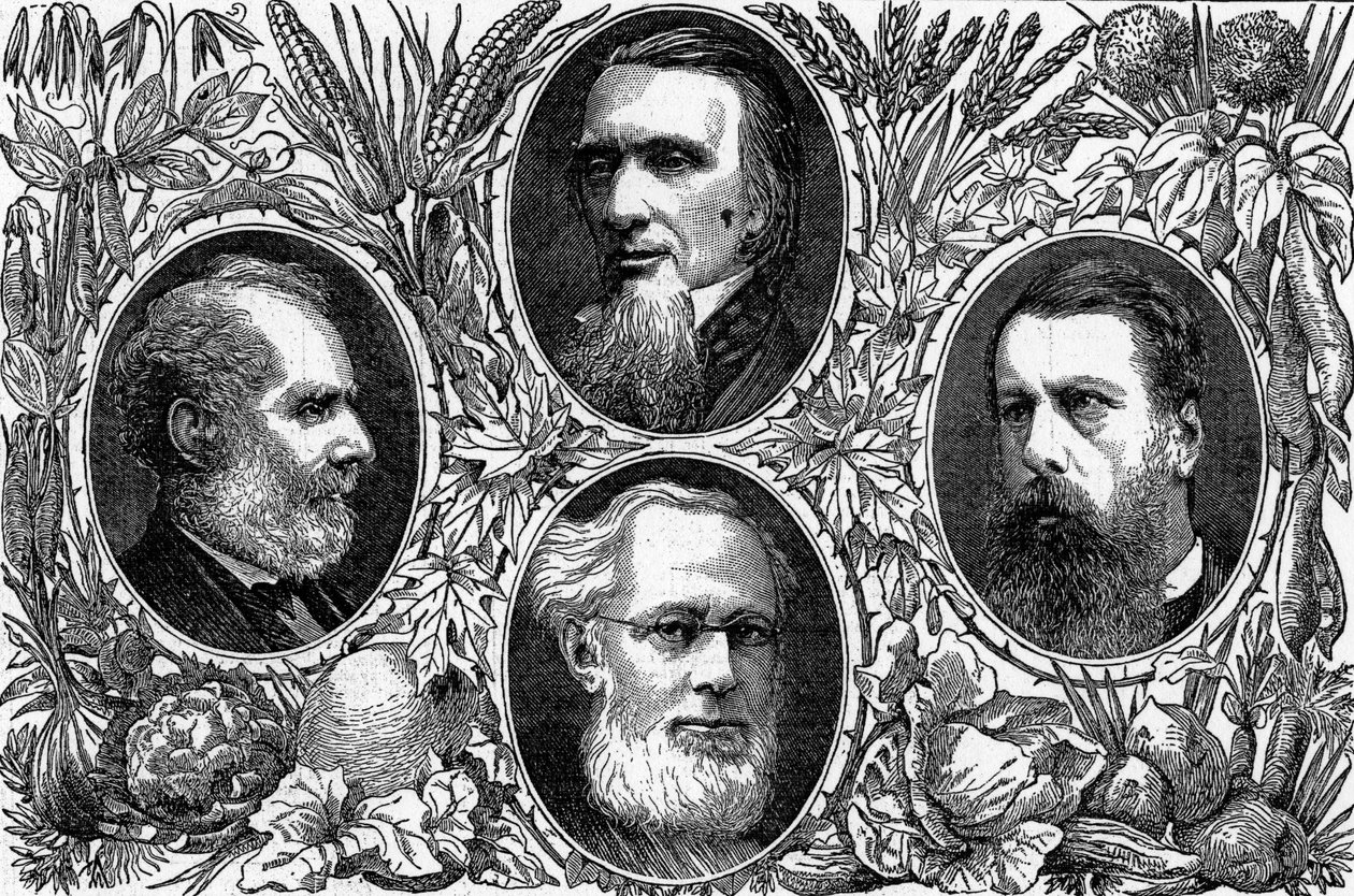 The Vegetarian System - Some leading members of the Vegetarian Society, published in The Graphic, 1874 by English School