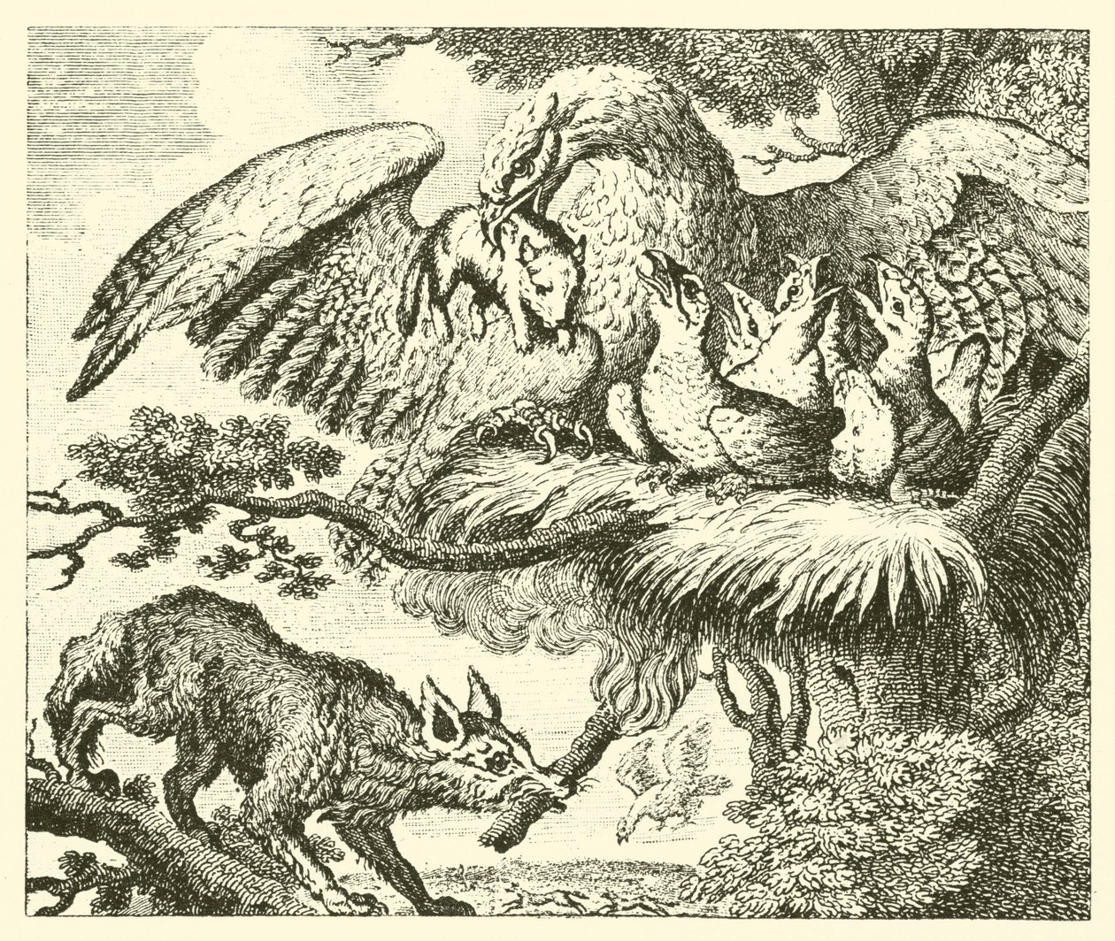 The Eagle and the Fox by English School