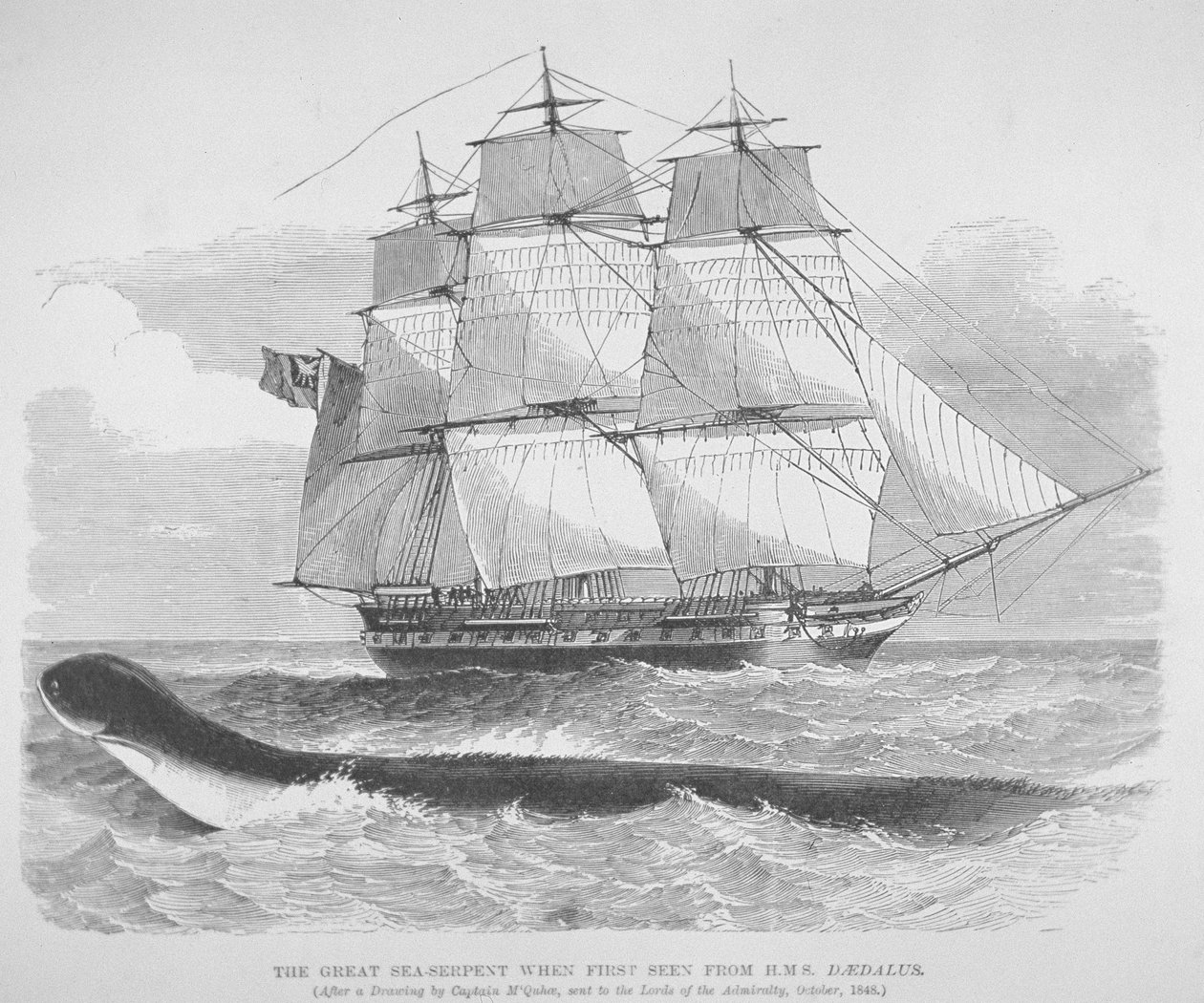 The great sea serpent when first seen from HMS Daedalus in 1848 by English School