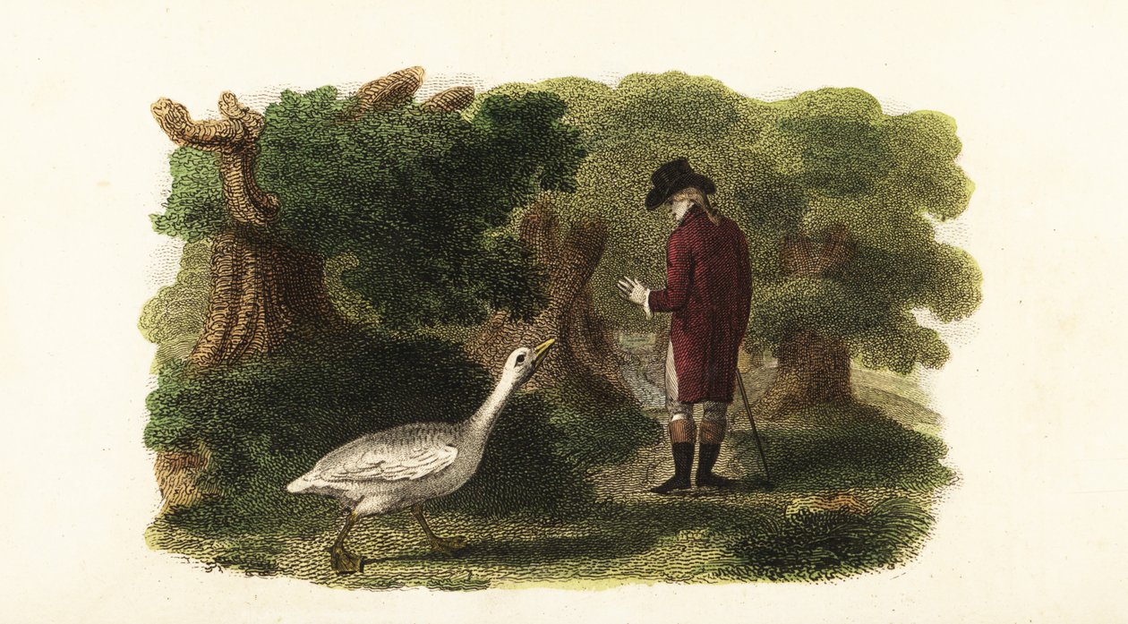 The Male Goose Jacquot and His Human Friend, a French Gentleman by English School