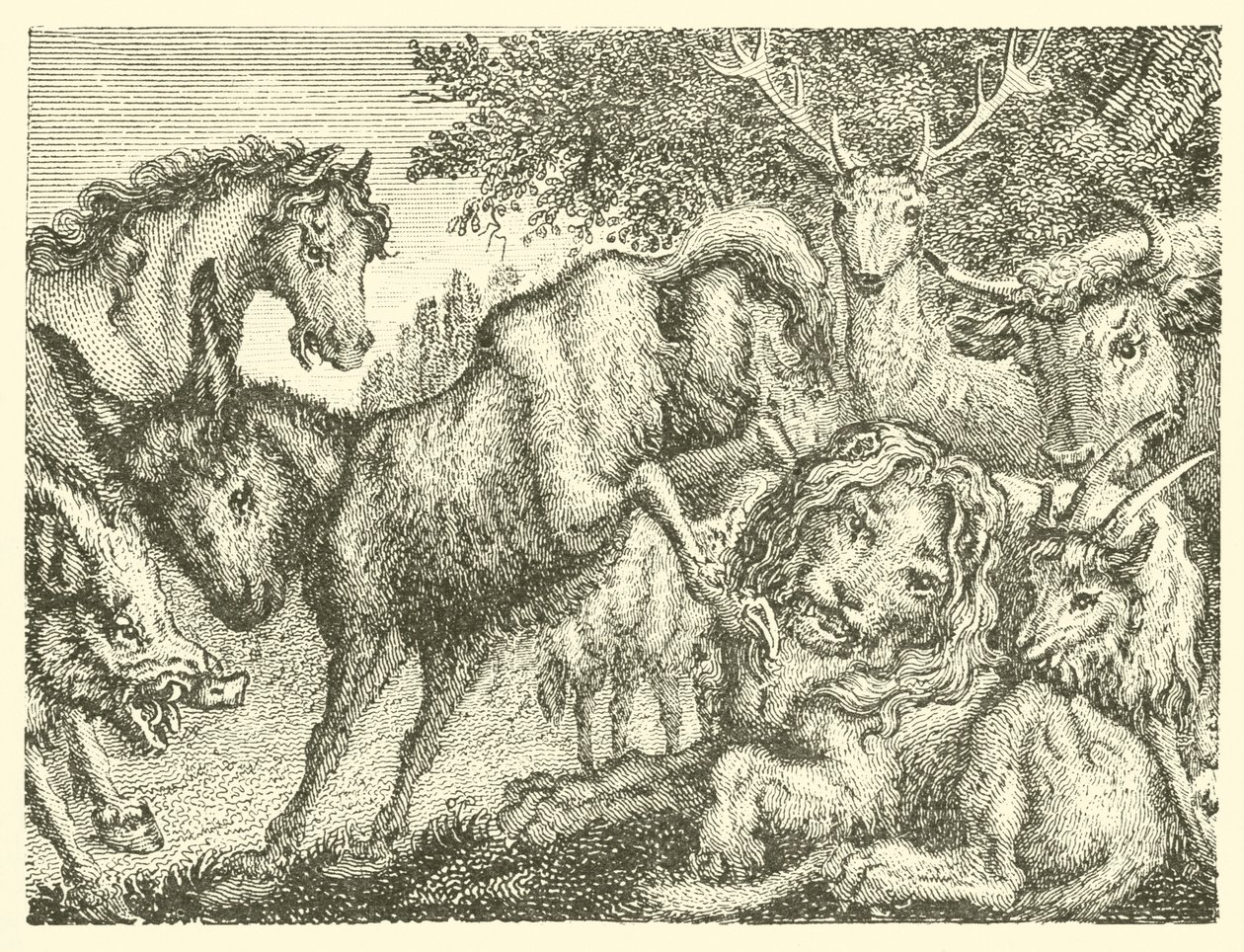 The Old Lion by English School