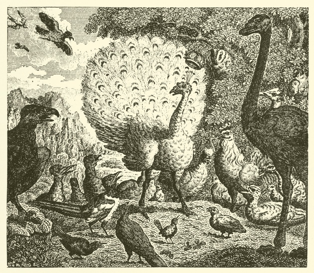 The Peacock and the Magpie by English School
